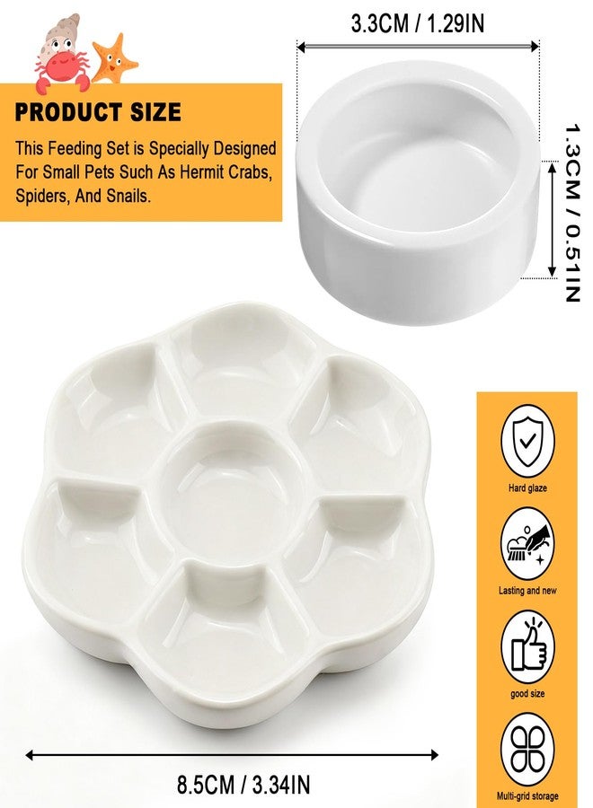 Eiito Reptile Food Bowl,Hermit Crab Lizard Gecko Ceramic Food Dish, 7 Compartments Anti-Turning Bearded Dragon Food & Water Bowl with Small Brush (White) - Image 3